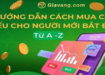 Hướng dẫn chi tiết từ A - Z: cách mua cổ phiếu chỉ với 4 bước đơn giản