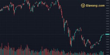 Chứng khoán hôm nay 16/05/2024: Ngập tràn sắc xanh trên cả 3 sàn