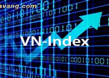 Chứng khoán VNIndex là gì? Cách tính điểm VN-Index dễ hiểu nhất