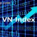 Chứng khoán VNIndex là gì? Cách tính điểm VN-Index dễ hiểu nhất