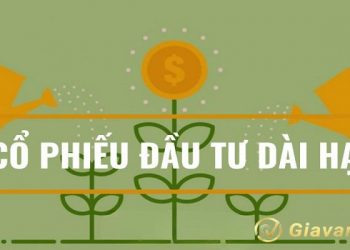 Cổ phiếu đầu tư dài hạn là gì? Top 10 mã cổ phiếu đầu tư dài hạn tiềm năng