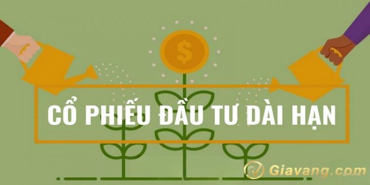 Cổ phiếu đầu tư dài hạn là gì? Top 10 mã cổ phiếu đầu tư dài hạn tiềm năng 1 Cổ phiếu đầu tư dài hạn là gì? Top 10 mã cổ phiếu đầu tư dài hạn tiềm năng