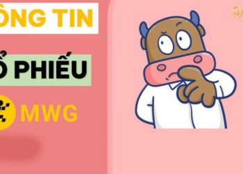 Giá cổ phiếu MWG hôm nay - Thực hư giá cổ phiếu MWG giảm mạnh