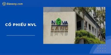Thực hư cổ phiếu Novaland lao dốc? Lịch sử giá cổ phiếu NVL  10 Thực hư cổ phiếu Novaland lao dốc? Lịch sử giá cổ phiếu NVL