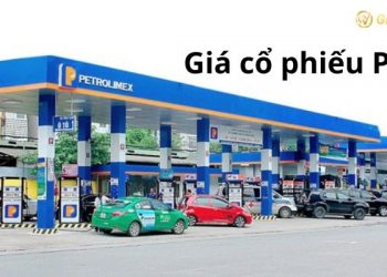 Giá cổ phiếu Petrolimex hôm nay - Tại sao cổ phiếu PLX giả