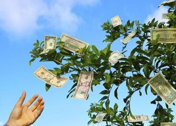 Top cổ phiếu trả cổ tức cao nhất trên sàn chứng khoán Việt Nam hiện nay