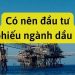 Nên đầu tư cổ phiếu dầu khí hay không? Mã cổ phiếu dầu khí tiềm năng