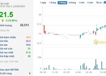 Giá cổ phiếu GCF “bốc đầu” tăng trưởng đột ngột