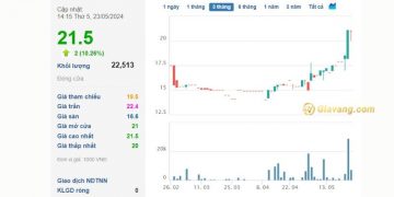 Giá cổ phiếu GCF “bốc đầu” tăng trưởng đột ngột