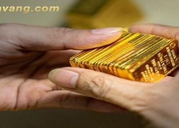 Giá vàng trong nước hôm nay 14/5/2024: Liên tục biến động, vàng SJC giảm mạnh 1,3 triệu đồng/lượng