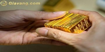 Giá vàng trong nước hôm nay 14/5/2024: Vàng SJC giảm mạnh 1,3 triệu đồng/lượng 3 Giá vàng trong nước hôm nay 14/5/2024: Liên tục biến động, vàng SJC giảm mạnh 1,3 triệu đồng/lượng