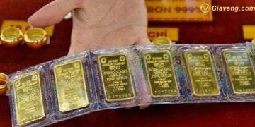 Giá vàng trong nước hôm nay 12/5/2024: Vàng SJC "lao dốc" giảm mạnh 2 triệu đồng 5 Giá vàng trong nước hôm nay 12/5/2024: Vàng SJC "lao dốc" giảm mạnh 2 triệu đồng