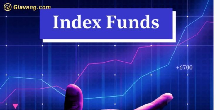 Index Fund là gì? Hạn chế của quỹ đầu tư theo chỉ số Index Fund 1 Index Fund là gì? Hạn chế của quỹ đầu tư theo chỉ số Index Fund