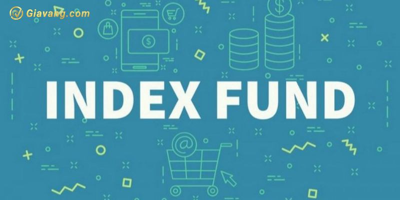 Các quỹ đầu tư theo chỉ số Index Fund ở Việt Nam