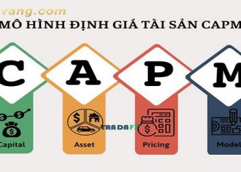 Mô hình CAPM là gì? Mô hình CAPM được ứng dụng trong thực tế như thế nào?
