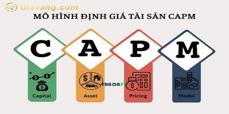 Mô hình CAPM là gì? Mô hình CAPM được ứng dụng trong thực tế như thế nào?