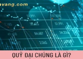Quỹ đại chúng là gì? Ưu và nhược điểm khi đầu tư vào quỹ đại chúng