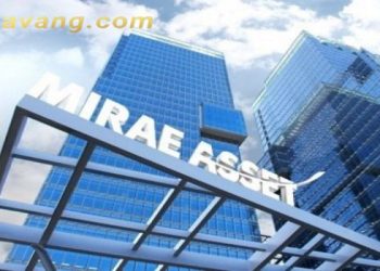 Quỹ ETF MAFM VN30 là gì? Lưu ý khi tham gia Quỹ ETF MAFM VN30