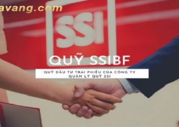 Quỹ SSI BF là gì? Thông tin chung về quỹ SSI BF?