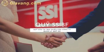 Quỹ SSI BF là gì? Thông tin chung về quỹ SSI BF? 3 Quỹ SSI BF là gì? Thông tin chung về quỹ SSI BF?