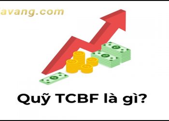 Quỹ TCBF là gì? Ưu điểm của quỹ so với các sản phẩm khác