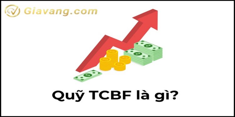 Quỹ TCBF là gì? Ưu điểm của quỹ so với các sản phẩm khác