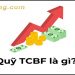 Quỹ TCBF là gì? Ưu điểm của quỹ so với các sản phẩm khác 14 Quỹ TCBF là gì? Ưu điểm của quỹ so với các sản phẩm khác