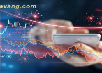 Quỹ VN100 là gì? Lưu ý khi tham gia quỹ VN100