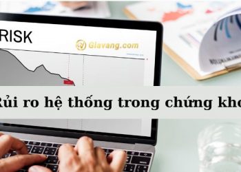 Rủi ro hệ thống trong chứng khoán - Ví dụ về rủi ro hệ thống