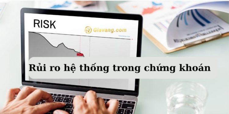 Rủi ro hệ thống trong chứng khoán - Ví dụ về rủi ro hệ thống 1 Rủi ro hệ thống trong chứng khoán - Ví dụ về rủi ro hệ thống