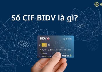 Số CIF BIDV là gì? Cách tra cứu số CIF BIDV chính xác nhất