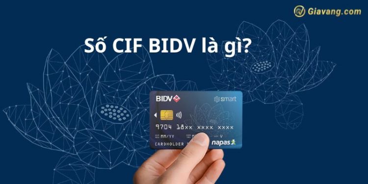 Số CIF BIDV là gì? Cách tra cứu số CIF BIDV chính xác nhất  1 Số CIF BIDV là gì? Cách tra cứu số CIF BIDV chính xác nhất