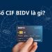 Số CIF BIDV là gì? Cách tra cứu số CIF BIDV chính xác nhất