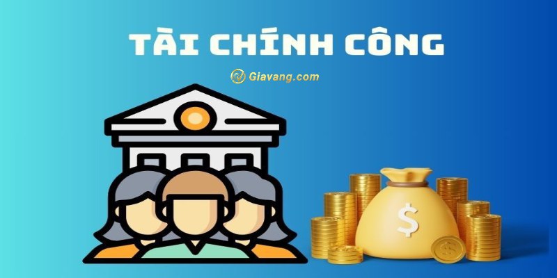 Chức năng của tài chính công