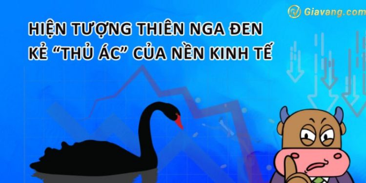 Thiên nga đen trong chứng khoán là gì? Cách khắc phục 1 Thiên nga đen trong chứng khoán là gì? Cách khắc phục