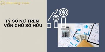 Tỷ lệ nợ trên vốn chủ sở hữu (D/E Ratio) là gì? Chỉ số D/E Ratio bao nhiêu là an toàn? 7 Tỷ lệ nợ trên vốn chủ sở hữu (D/E Ratio) là gì? Chỉ số D/E Ratio bao nhiêu là an toàn?