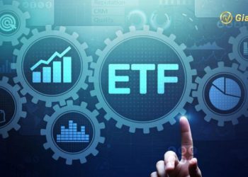 Top các quỹ ETF tại Việt Nam sinh lời cao nhất 2024