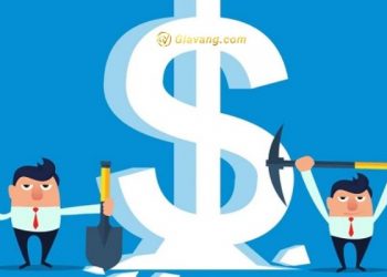 Tỷ suất cổ tức là gì? Mẹo chọn cổ phiếu có tỷ suất cổ tức tốt