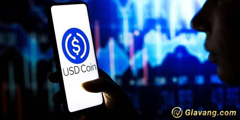 USD Coin USDC