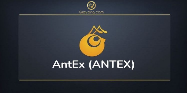 Antex là gì? Dự án được Shark Bình "chống lưng" đầu tư có gì đặc biệt? 1 Antex là gì? Dự án được Shark Bình "chống lưng" đầu tư có gì đặc biệt?