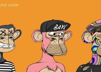 BAYC là gì? Những điều bạn cần biết về bộ sưu tập NFT Bored Ape Yacht Club