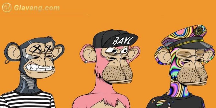 BAYC là gì? Những điều bạn cần biết về bộ sưu tập NFT Bored Ape Yacht Club 1 BAYC là gì? Những điều bạn cần biết về bộ sưu tập NFT Bored Ape Yacht Club