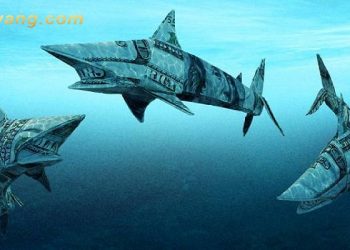 Big Boy là gì? Cách hạn chế rơi vào bẫy của các Bigboy và theo chân họ