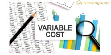 Chi phí biến đổi là gì? Tầm quan trọng của chi phí biến đổi 10 Chi phí biến đổi là gì? Tầm quan trọng của chi phí biến đổi