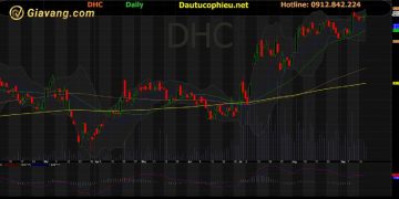 Chủ tịch DHC không còn là cổ đông lớn sau khi bán 1.5 triệu CP 5 chu-tich-dhc-khong-con-la-co-dong-lon-sau-khi-ban-1-5-trieu-cp