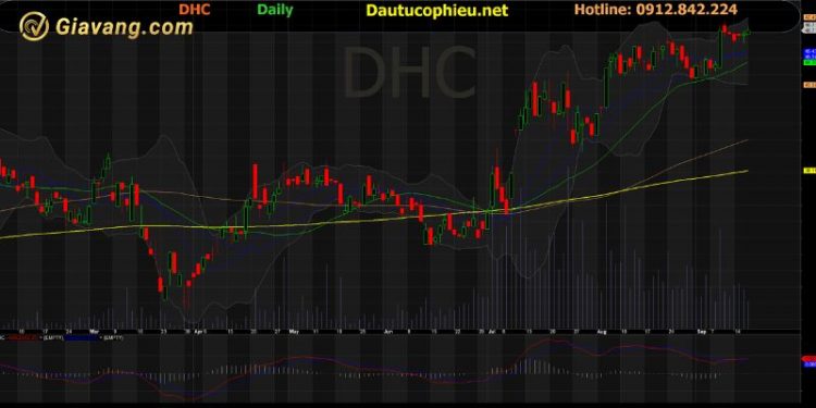 chu-tich-dhc-khong-con-la-co-dong-lon-sau-khi-ban-1-5-trieu-cp