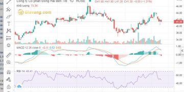 Cổ phiếu DHC tăng kịch trần 13% trong hơn 1 tháng