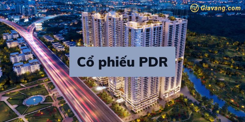 Vị thế CTCP Phát triển BĐS Phát Đạt