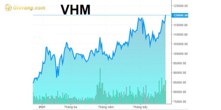 Tại sao cổ phiếu VHM giảm mạnh? Lịch sử giá cổ phiếu VHM