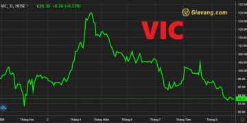 Giá cổ phiếu VIC hôm nay tăng hay giảm so với phiên trước đó? 7 Giá cổ phiếu VIC hôm nay tăng hay giảm so với phiên trước đó?